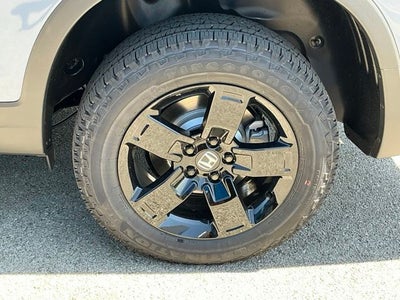 2026 Honda Ridgeline Black Edition