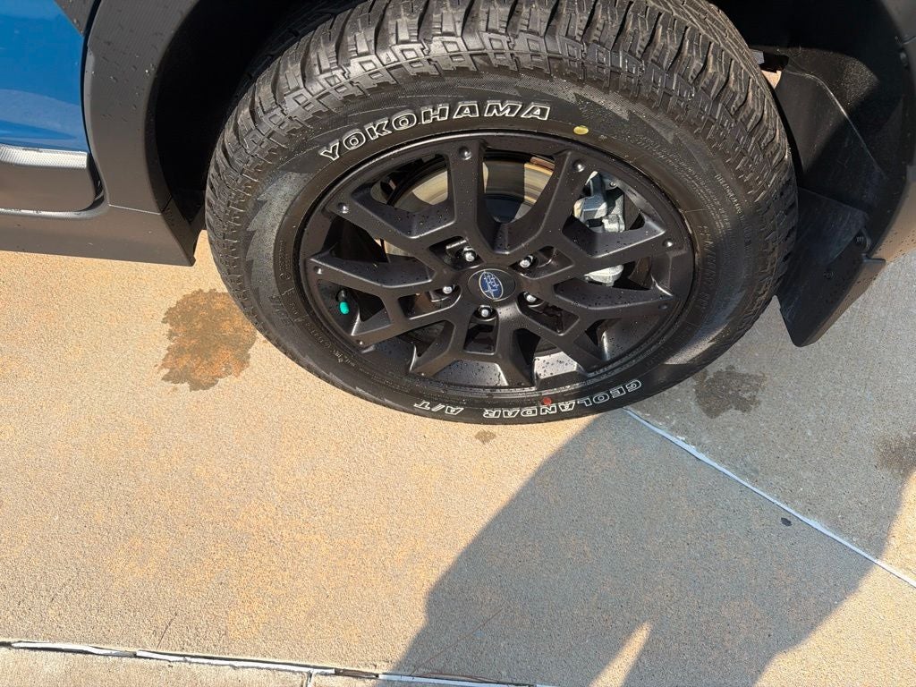 2025 Subaru Crosstrek Wilderness