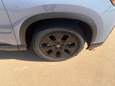 2026 Honda Pilot Black Edition