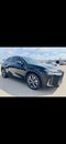 2019 Lexus UX 200 F SPORT